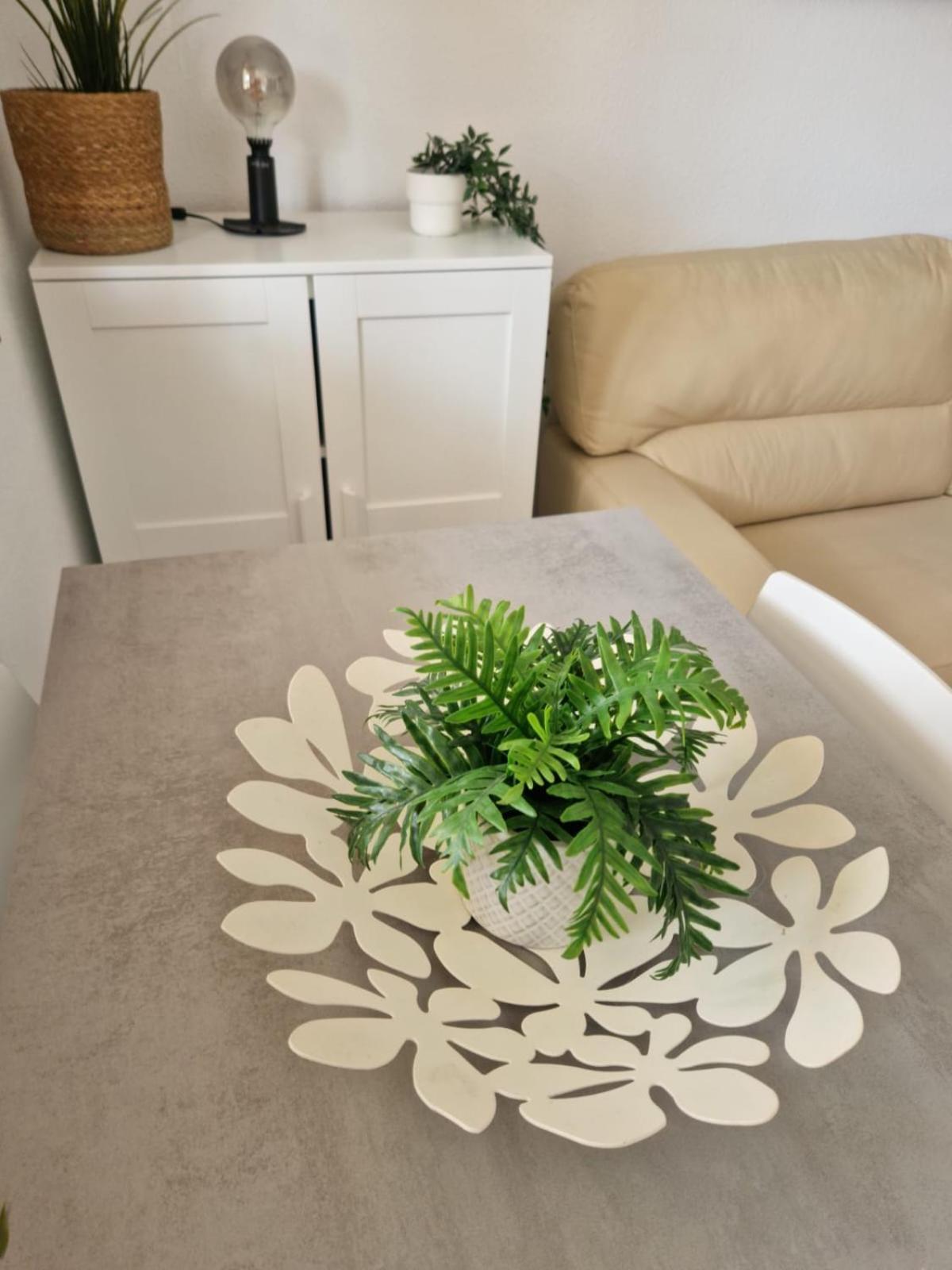 Casa Chloe, Urbanizacion Privada Villa Torrevieja Eksteriør billede